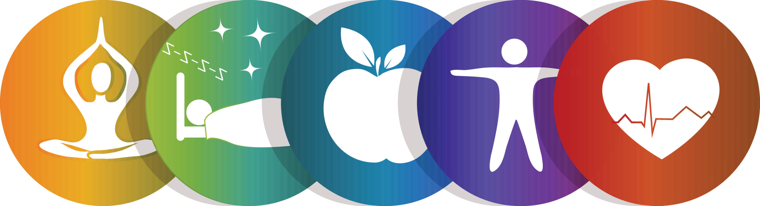 Health & Wellness